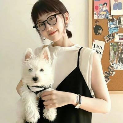 美国情人